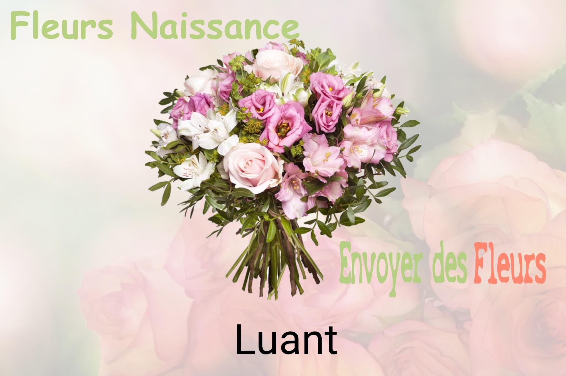 Bouquet de fleurs de naissance livré à Luant