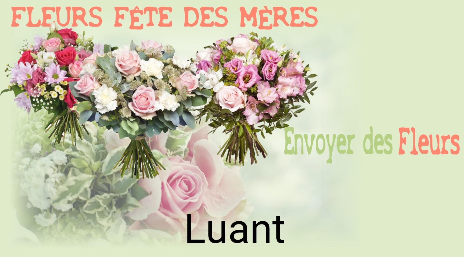 Bouquet de Fête des Mères livré à Luant